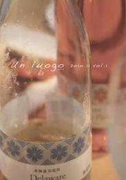 Un luogo 2010.11 vol.1